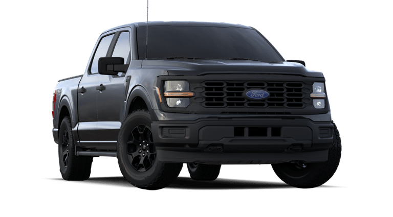 2024 Ford F-150 Vehicle Photo in Weatherford, TX 76087